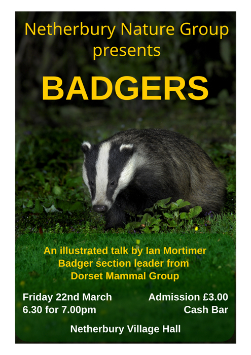 Poster for badger talk 22nd March 2024